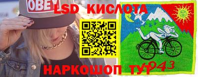 крисы Камышлов