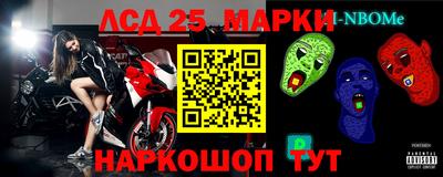 крисы Камышлов