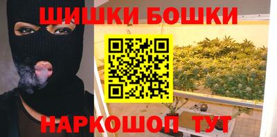 крисы Камышлов