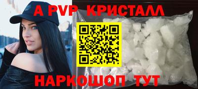 крисы Камышлов