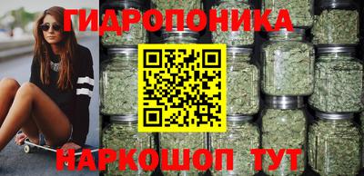 крисы Камышлов