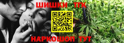 крисы Камышлов