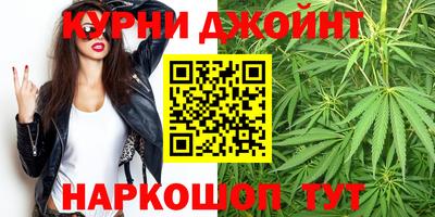 крисы Камышлов
