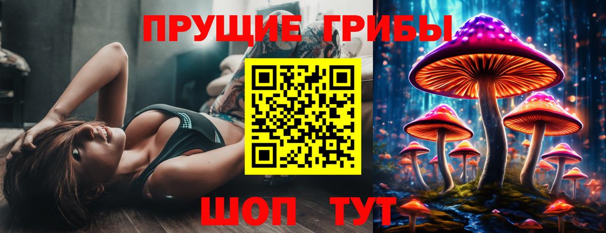 Псилоцибиновые грибы Psilocybe  купить   Кузнецк  Вход с VPN 